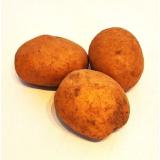 Kartoffel Afra lose mehlig kochend