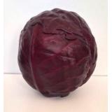 Rotkohl