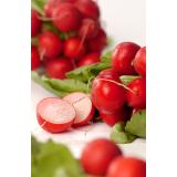 Radieschen