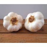 Knoblauch