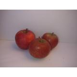 Apfel Natyra
