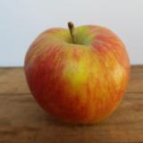 Apfel Deljonka