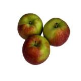 Apfel Collina