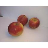 Apfel Elise