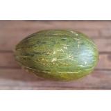 Honigmelone Piel de Sapo