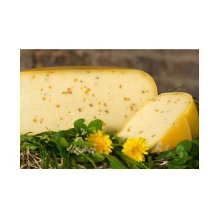 Bollheimer Gouda mit Bockshornklee