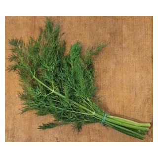 Dill