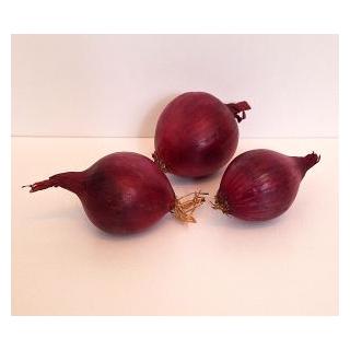 Zwiebeln rot