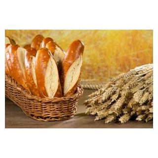 Bio LaugenStange