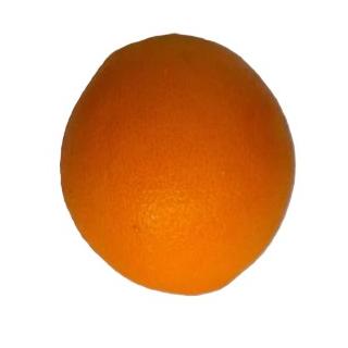 Orangen