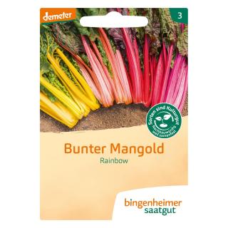 Mangold Rainbow