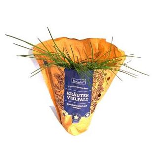 Kräuter Topf
