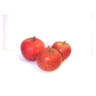 Apfel Natyra