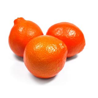 Minneola