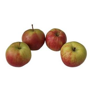 Apfel Sunrise
