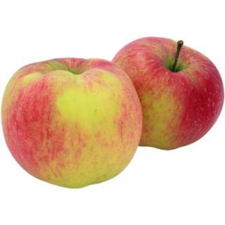 Apfel Santana