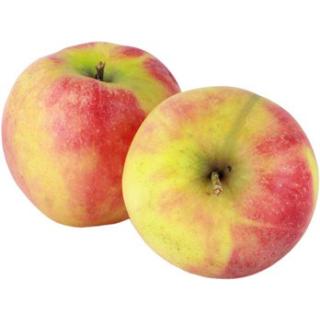 Apfel Elstar