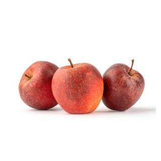 Apfel Red Jonaprince