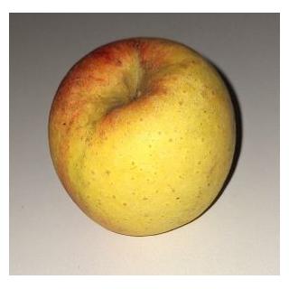 Apfel Pinova