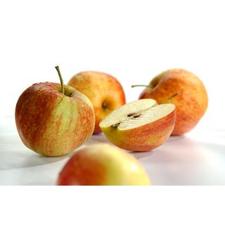Apfel Jonagored