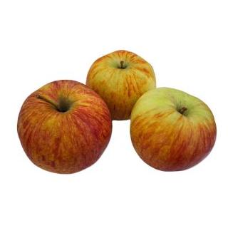 Apfel Jonagold