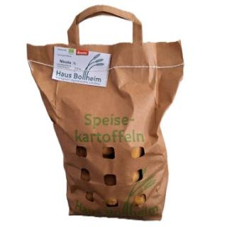 Kartoffel Nicola Tüte festkochend
