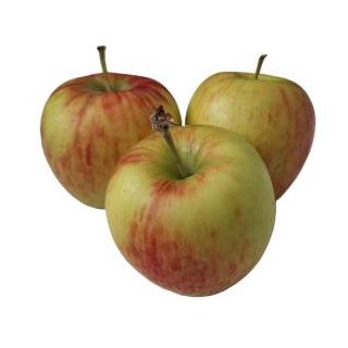Apfel Summercrisp