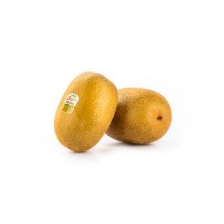 Goldkiwi