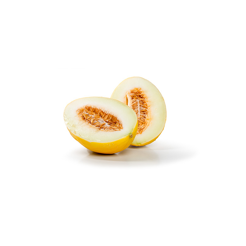 Kokos-Melonen-Shake