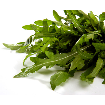 Rucola lose