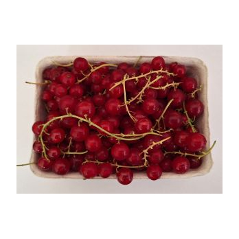 Johannisbeeren rot