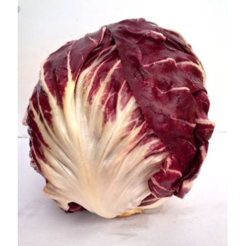 Radicchio