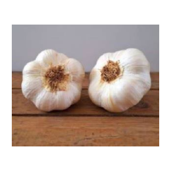 Knoblauch