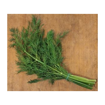 Dill