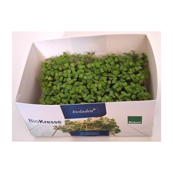 Rucolakresse
