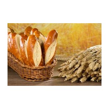 Bio LaugenStange