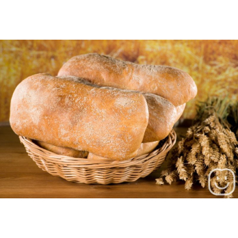 Bio Ciabatta