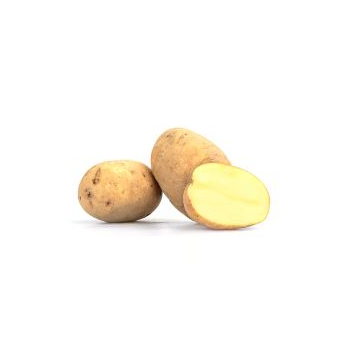 Kartoffel Karlena lose mehligkochend