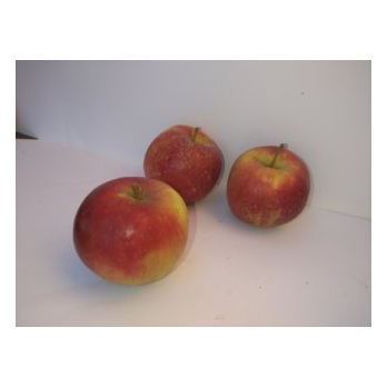 Apfel Elise