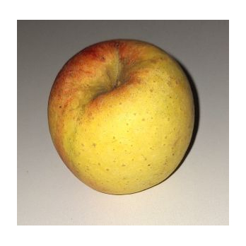 Apfel Pinova