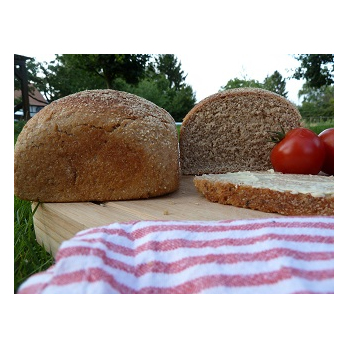 Kamutklötzchen