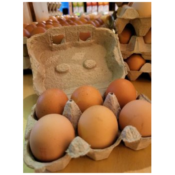 Bio-Eier Gr. M