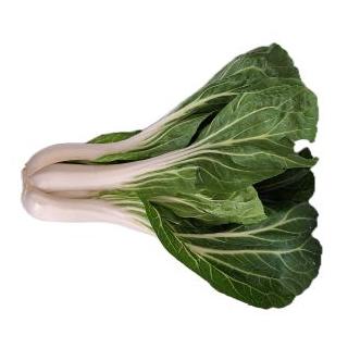 Pak Choy