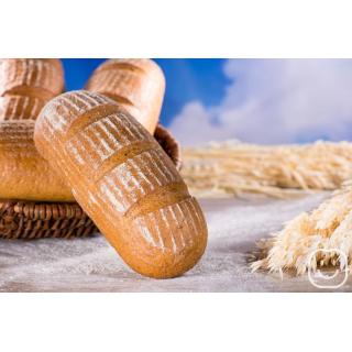 Bio GrauBrot