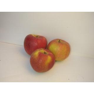 Apfel Freya