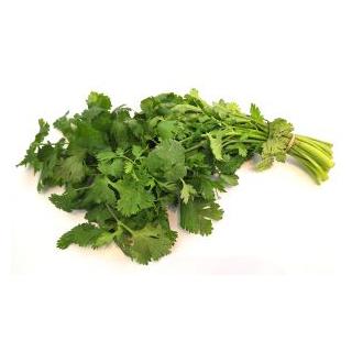 Koriander