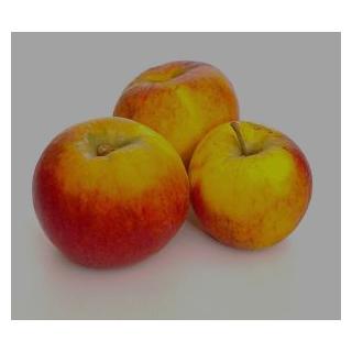 Apfel Pilot