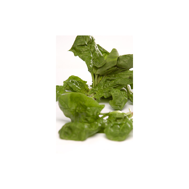 Gratinierte Nudel-Gemüse-Pfanne