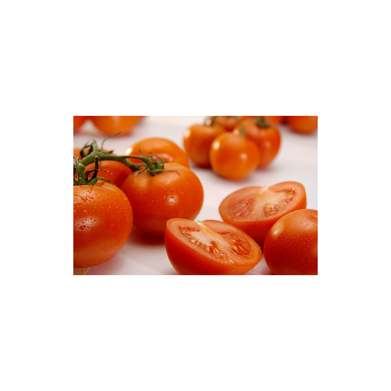 Gemüsegratin mit Parmesan-Kräuterkruste