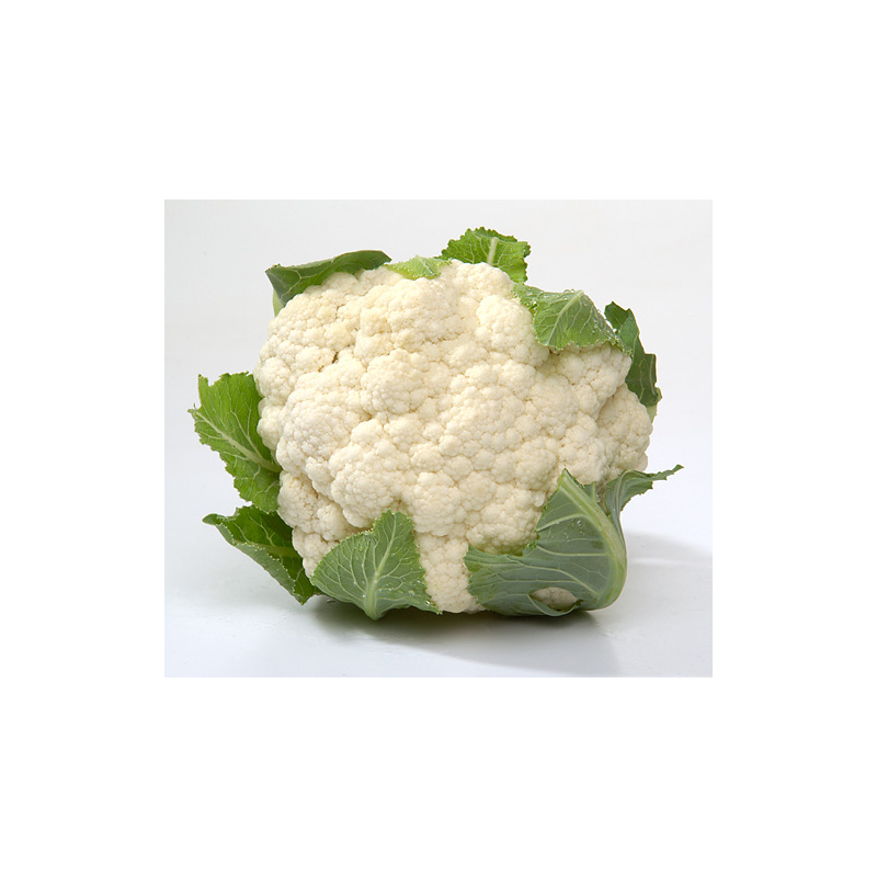 Blumenkohl-Kichererbsen-Salat